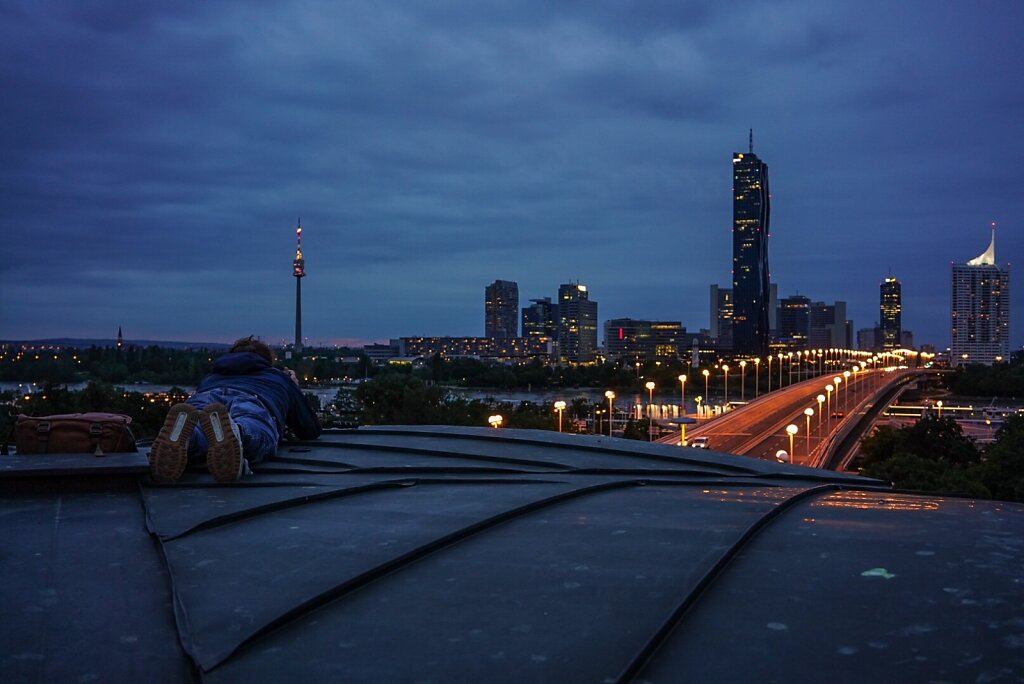 Reichsbrücke -rooftop views